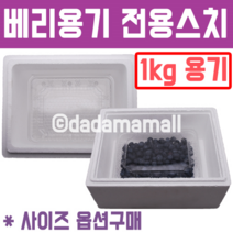블루베리 1kg용기전용 스치박스, 베리통형1k (1개입)+4000원/간지포함