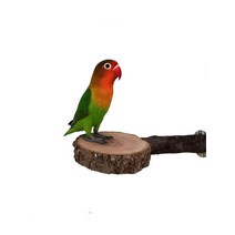 새 횃대 애완 동물 perching 플랫폼 둥근 나무 플랫폼 사과 나무 점프 플랫폼 나무 막대기 앵무 스탠드 다람쥐 점프 기둥, 플랫폼9-10cm