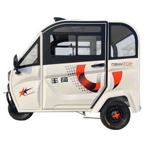 2도어 전기 삼륜 오토바이 스쿠터 전동차 밀폐형 성인, 본체  48V 배터리 미포함