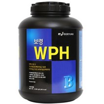 보령 WPH 헬스보충식품, 2.5kg, 1개