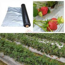 미니 비닐 하우스 조립식 유리 온실 가정용 소형 베란다 테라스 옥상 텃밭 가꾸기 0.02mm 정원 식물 과일 실버 블랙 두꺼운 플라스틱 필름 반사 방지 잔디 딸기 뿌리 덮개, 0.02mm 1x50m