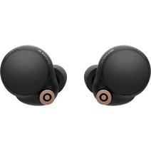 Sony WF-1000XM4 소니 노이즈 캔슬링 무선 이어폰 블랙, 1000XM4, Black