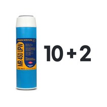 DOW MR-450 초순수 UPW 필터 12개 10인치 하우징용, 선택01_필터 10+2=12개
