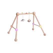 플랜토이 (PLANTOYS) 플레이 짐 5260