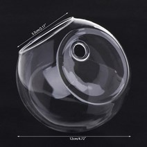 벽걸이어항 유리 꽃병 벽 수경 테라리움 수조 화분 화분 dropshipping, 12cm