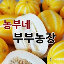 농부네 부부농장 성주참외 2kg 5kg 10kg 산지직송, 04.참외 2kg 가정용 중과(박스포함)