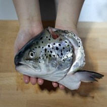 지웅수산 노르웨이 슈페리얼 in 생연어, 1팩, 연어머리1