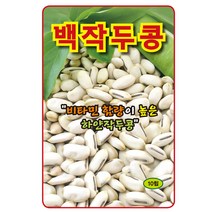 백작두콩 씨앗 10립, 단품