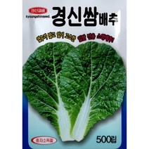 (씨앗) 경신쌈배추 - 맛있는 잎쌈 전용 소형배추 씨앗 종자 - 500립