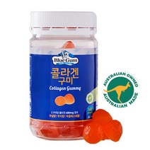 블루검 콜라겐 구미, 240g, 1개