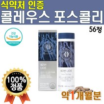 식약처 인증 콜레우스 포스콜리 추출물 분말 56정x1통 약1개월분 코레우스 폴레우스 콜래우스 콜리우스 포스콜린 추출 분말 가루 테아닌 비타민 식약처 테아닌 감태 홍경천 베러씬나이트