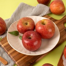 경북 산지직송 당도선별 가정용 부사사과 홍로사과 2kg 3kg 5kg 10kg, <홍로> (가정용) 10kg / 중소과 / 39-43과, 1개” class=”wr-img”></a></div>
</p></div>
</p></div>
</p></div>
<div class=