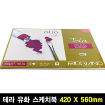파브리아노 테라 유화용 스케치북 패드 300g T03