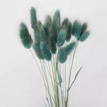 토끼 꼬리 말린 꽃 솜털 팜파스 잔디 소박한 웨딩 장식 홈 30 개, 09 grey blue_02 100pcs
