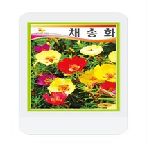 채송화씨앗 혼합 1g 채송화 꽃씨 씨앗 대장