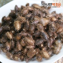 가나안허브 창이자(도꼬마리) 300g
