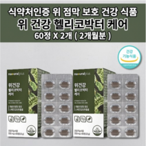 위 건강 기능 저하 위에좋은 속 쓰림 메스꺼움 식도 역류 질환 통증 기능성 위장 장애 소화 불량 위산 과다 위벽 보호 위점막 보호제 양배추 헬리코박터균 영양제 위건강엔1개월 60정, 2개