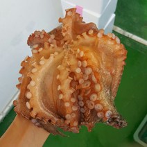통영 자연산 활 돌문어, (생물)돌문어 1kg(1-2마리), 1개
