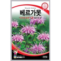 세계 베르가못 벨가못 모나르다 bergamot seed 씨앗 씨 꽃씨 종자, 알릿섬