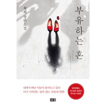 부유하는 혼:황희 장편소설, 해냄출판사, 황희
