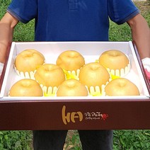 [햇살가득]명품 나주 신고배선물세트 7.5kg 7~8과 대과, 단품