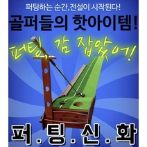 퍼팅연습기 레일자 볼자동회수 무한반복