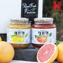 견과공장 자몽청 950g + 레몬청 950g, 2세트
