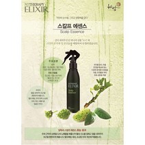 혜담 엔투테라피 스칼프 에센스 200ml 두피에센스 탈모예방 헤어에센스, 1통
