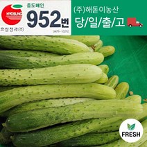 해돋이농산 국내산 백오이 백다다기 다다기오이 오이 못난이오이 10개 20개 30개, 상30개