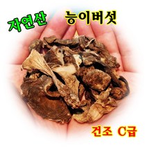 자연산 능이버섯 건조C급 100g, 1개