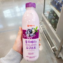 장인70.442 서울우유 블루베리 상큼 요구르트 749.961ml x 2개, 아이스보냉백포장