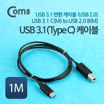 (COMS) USB 3.1(타입C) to USB B형 케이블 1M/WT369 WT369