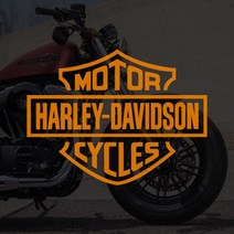 할리데이비슨 모터사이클 로고스티커 데칼, 200x150mm, 검정