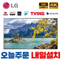 LG 75인치(190cm) 나노셀 4K 울트라HD 스마트 LED IPS TV 75NANO75, 수도권벽걸이설치