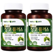 타이거아울렛 징코 플러스 60정 x 2병 4개월분 은행잎 추출물 빌로바 아연 비타민B6 뇌 기억력 혈행개선 도움 혈액순환 개선제 수험생 청소년 영양제, 단품, 단품