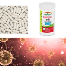 캐나다에서온 자미에슨 유산균100억 마리 피부 변비 여성 다이어트 장건강 유산균 캡슐, 370mg x 90캡슐