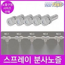 물 포그 스프레이 분사 미스트 안개 노즐, 분사노즐 0.2mm 1개