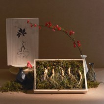 산양삼 효천영농조합 이루진스 7-8년근 장뇌삼 산양산삼 산삼 선물세트 부모님선물, 장뇌삼 년근 선택: 8년근 /, 장뇌삼 뿌리 선택: 8뿌리