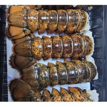 동아씨푸드 캐나다 직수입 랍스타테일 120-215g(4-7oz) 1kg, 1개, 4oz 110-120g 8마리