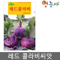 레드콜라비씨앗 300립, 단품