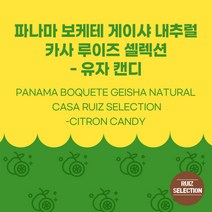 (커피생두) 334 파나마 보케테 게이샤 내추럴 카사 루이즈 셀렉션 - 유자 캔디 1kg