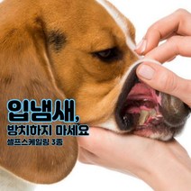 재그코퍼레이션 고양이 강아지 애견 애묘 입냄새 스케일링 치석제거기 치주염 프라그오프 스켈링 치아관리 스케일러, 1개, B형