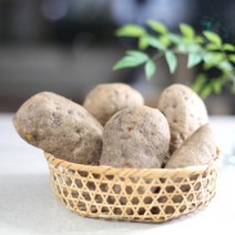 친환경 유기농 열대둥근마 황진이농장 [산지직송] 못난이알뜰마 5kg 10kg