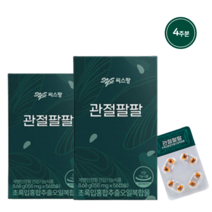 씨스팡 관절팔팔 56캡슐X2통(4주분)/씨스팡 초록입홍합추출오일, 1개