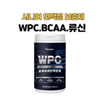 농축유청 단백질 WPC 쉐이크 70대 시니어 노인 류신 BCAA 50대 중년 여성 남성 식사대용 분말 가루 청소년 운동 선수 아미노산 프로틴 헬스 보충제 500g