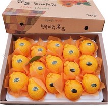 프리미엄 제주 한라봉 3kg 5kg 선물용 가정용 제주도 한라봉 명절 선물세트 산지직송, 4._한라봉 선물용 프리미엄 로얄과 3kg