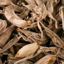 국산 천문동 600g 국내산 한약재 한방 약초, 1개