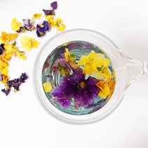 [NATURI] 5번 수제 덖음 대용량 팬지꽃차 20g팬지 팬지꽃 팬지꽃차 보라색꽃차 보라빛꽃차 펜지꽃 펜지꽃차 꽃차N T : 245A4B+1094, NATURE 쿠팡 1, NATURE 쿠팡 본상품선택