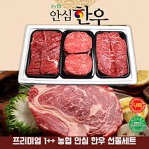농협 안심 프리미엄 한우 1++ 투뿔 선물세트 추석 명절 한우세트, 1개, 6호-농협 안심 한우1++ 프리미엄 세트