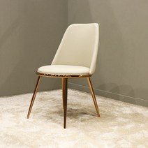 가구앤하우스 로즈로사 로즈골드 인테리어 식탁 의자 (5colors), 로즈로사(화이트)